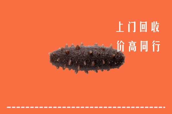 高价求购：凉山德昌县回收海参